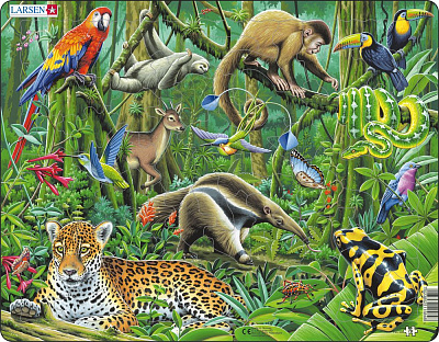 картинка Пазл Larsen «Южноамериканские тропики», 70 эл. от магазина konik.ru