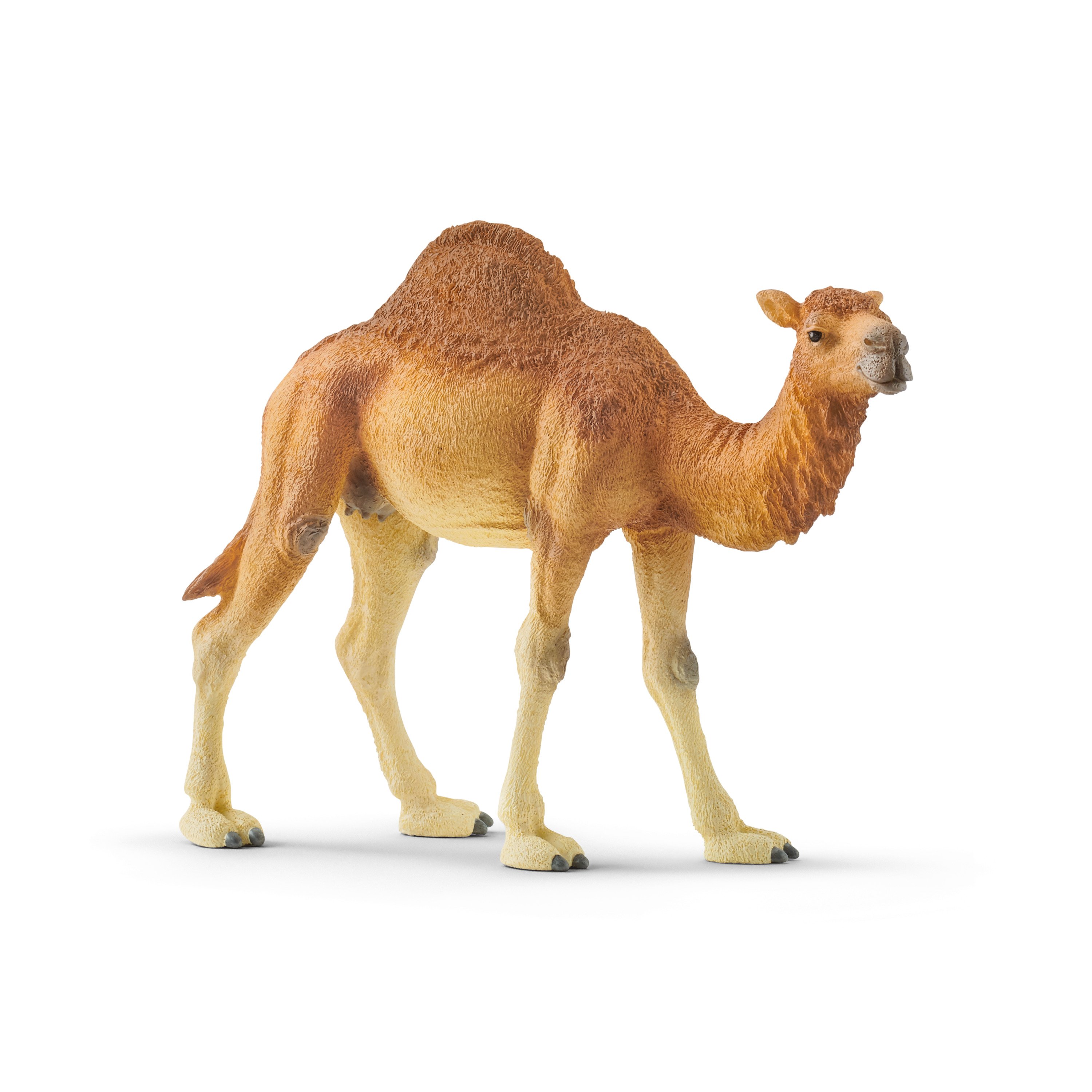 Фигурка Schleich Одногорбый верблюд